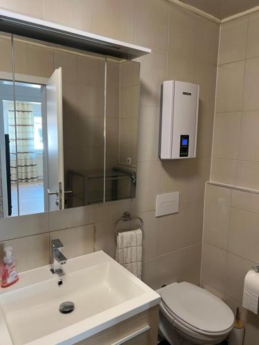 een badkamer met een wastafel, een toilet en een spiegel bij Lana in Freudenstadt