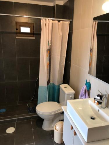 a bathroom with a toilet and a sink at Boutique Family Villa in Monastiraki