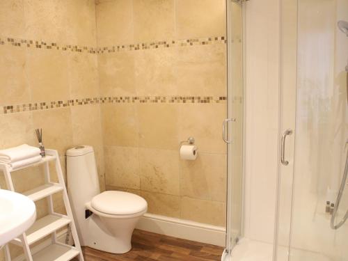 a bathroom with a toilet and a glass shower at Pass the Keys Heart of Llandovery Large 4BR Apartment For 9 in Llandovery