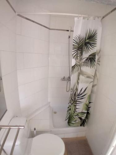 une salle de bain avec toilettes et rideau de douche dans l'établissement Studio terrasse vue cathédrale, à Narbonne