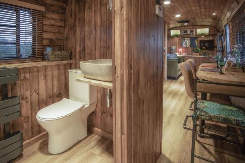 y baño con aseo y lavamanos. en American Airstream - Blossom Farm - Tiers Cross, en Johnston