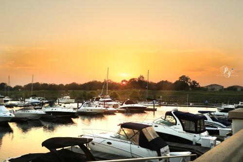 Marina Inn at Grande Dunes photo 25