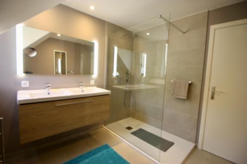 a bathroom with a shower and a sink and a mirror at L'O de La Roche in La Roche-en-Ardenne