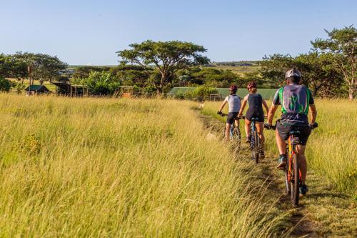 three people riding bikes on a trail through a field at Three Tree Hill Lodge in Bergville