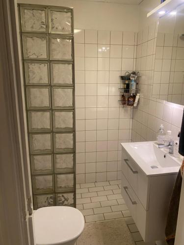 a bathroom with a toilet and a sink at Shared apartment close to the city center in Stockholm