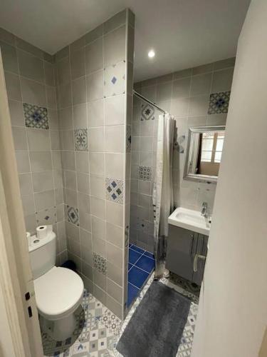 une salle de bain avec toilettes, douche et lavabo dans l'établissement Studio Mezzanine N Dame, à Versailles