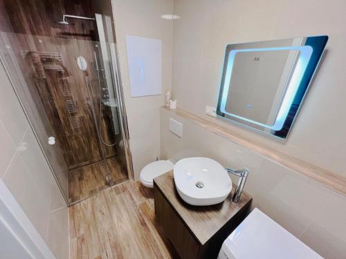 a bathroom with a shower and a toilet and a sink at TwoParrots app. with garage, balkony, citycenter in Žilina