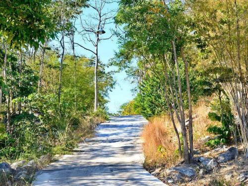 a dirt road with trees on either side at Hua Hin Home Hill in Hua Hin