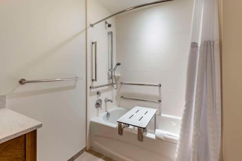 a bathroom with a bath tub and a sink at Comfort Inn & Suites Pittsburgh-Northshore in Pittsburgh