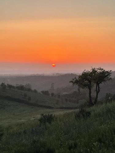 a sunset over a field with a tree in the foreground at Três Figos in São Luis