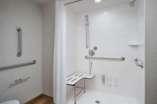 a bathroom with a shower and a toilet at Hampton Inn Towson Downtown in Towson