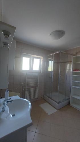 bagno con lavandino e doccia di Apartman i Sobe Vasilić a Jurandvor