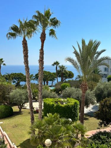 een uitzicht op de oceaan vanuit een resort met palmbomen bij Apartamentos Yanina Gran Alacant in Santa Pola