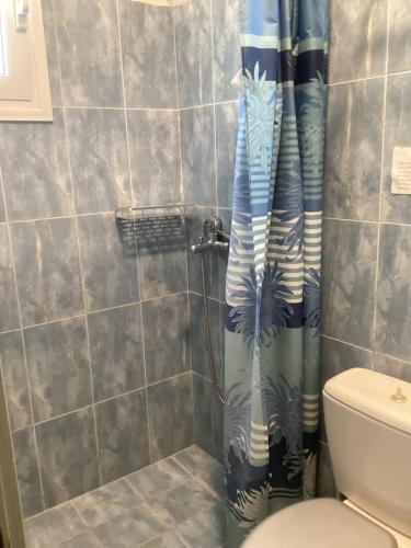 a shower curtain in a bathroom with a toilet at Corali Luxury Beach Apartment in Poros