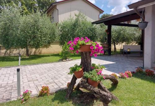 een boomstronk met bloemen in een tuin bij Tra la Terra e le Stelle in Assisi