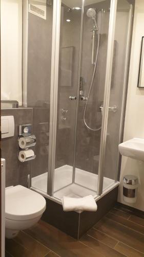 a bathroom with a shower and a toilet at Restaurant und Hotel Alter Brunnen in Marloffstein