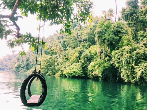 a tire swing hanging from a tree over a river at Kelys Transient San Pablo Laguna in San Pablo