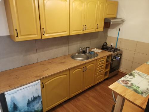 uma cozinha com armários amarelos e um lavatório em Przystanek Srebrna Góra em Srebrna Góra