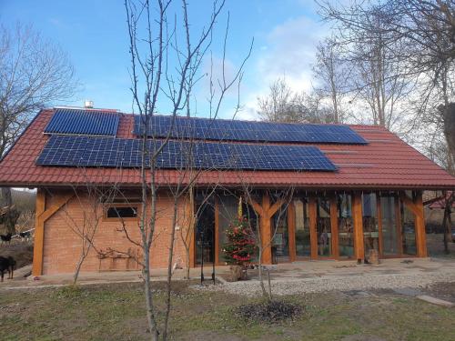 uma casa com painéis solares no telhado em Cristel Căsuța Fără Gânduri em Mesentea