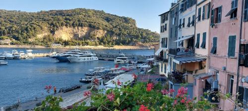 ポルトヴェーネレにあるTorre a Mare Porto Venereの水に船が浮かぶ港の景色