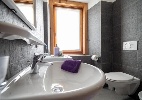 a bathroom with a sink and a toilet at Appartamenti Astra in Livigno