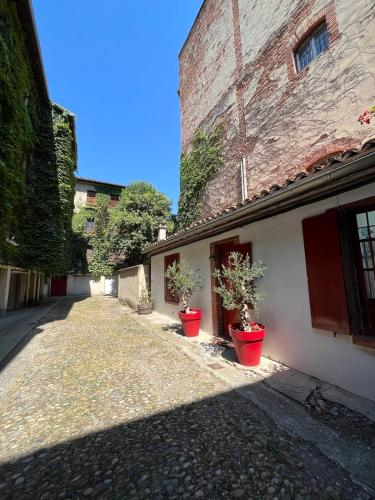 Photo de la galerie de l'établissement Petite chartreuse calme en plein coeur de Toulouse, à Toulouse