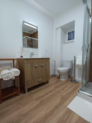 uma casa de banho com um lavatório e um WC em Casa Ocre Alojamento Local em Abrantes