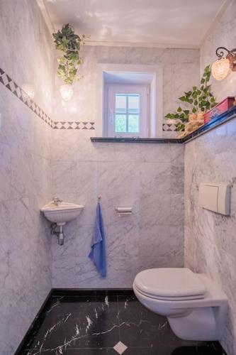 a bathroom with a toilet and a sink at Countryside - Experience in Koewacht