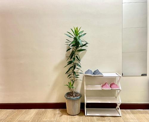 uma planta num vaso ao lado de uma prateleira com sapatos em Bea’s Transient (Condo Studio Room for 2!) em Manila