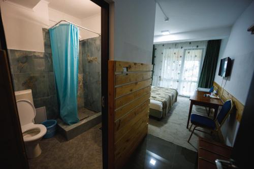 a bathroom with a toilet and a bathroom with a shower at Pensiunea Meteora in Suceava