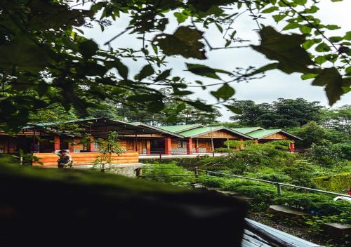 a group of buildings with green roofs at Camp David, Kigwema in Kohīma