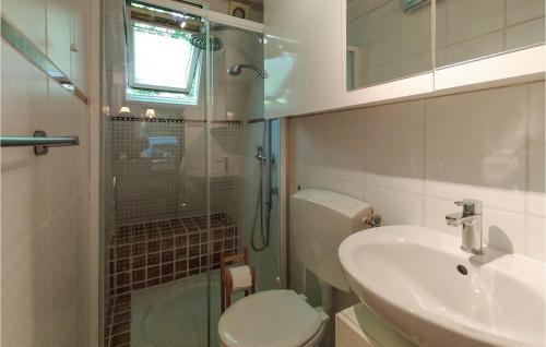 uma casa de banho com um WC, um lavatório e um chuveiro em Stunning Home In Rekem-lanaken With Wifi em Bovenwezet