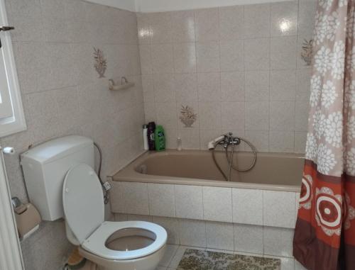 a bathroom with a toilet and a bath tub at The Athenian Riviera Summer Nest in Anavissos