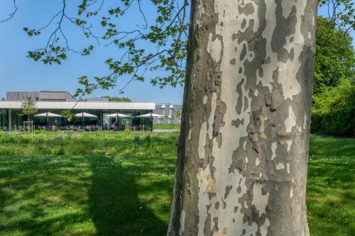 a tree in a field with a building in the background at Martin's Rentmeesterij in Bilzen