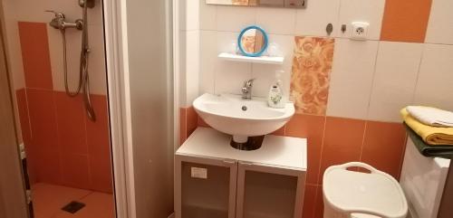 een kleine badkamer met een wastafel en een toilet bij Plně vybavený 2+1byt s balkonem a kójí pro kola a lyže. in Rokytnice v Orlických Horách