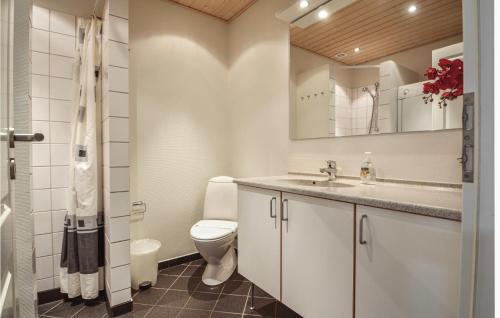 2 Bedroom Stunning Apartment In Nrre Nebel في Lønne Hede: حمام مع مرحاض ومغسلة