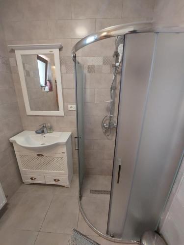 a bathroom with a shower and a sink at Casa Ramona in Socodor