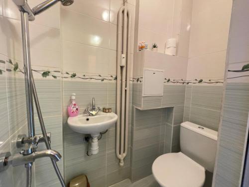 a small bathroom with a toilet and a sink at The Top Spot - Cute Little Studio in the Center by Flat Mаnager in Sofia