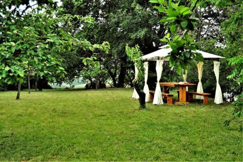 a picnic table in a field with a gazebo at Casa Fiorenza in Montefelcino