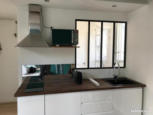 une cuisine avec un évier et un micro-ondes dans l'établissement Charmant studio quartier Saint Louis à Versailles, à Versailles