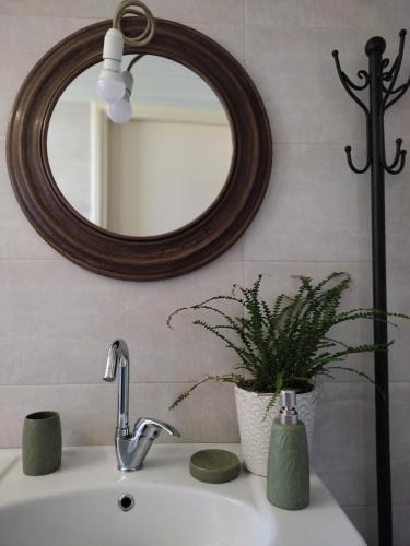 a bathroom sink with a mirror and a potted plant at Angel's Suites 2 in Samos