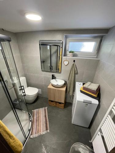 a bathroom with a toilet sink and a mirror at Home-in apartma in Ljubljana