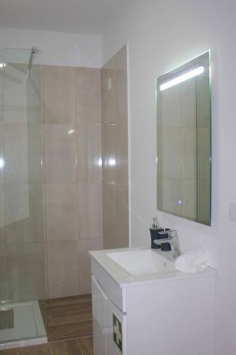 a bathroom with a sink and a shower and a mirror at Lugar dos Louros 2 in Estreito da Calheta