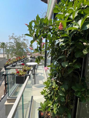 a row of plants on the balcony of a building at Dot Tradition in Vlorë