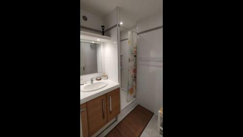 une salle de bain avec un lavabo et un miroir dans l'établissement Entre terre mer et golf, à Mandelieu-la-Napoule