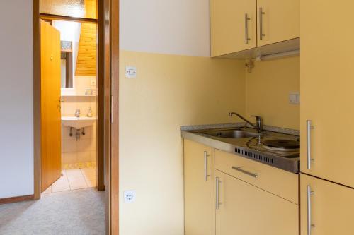 eine Küche mit einer Spüle und einer Arbeitsplatte in der Unterkunft Apartmaji Verica Ceklin in Bohinj