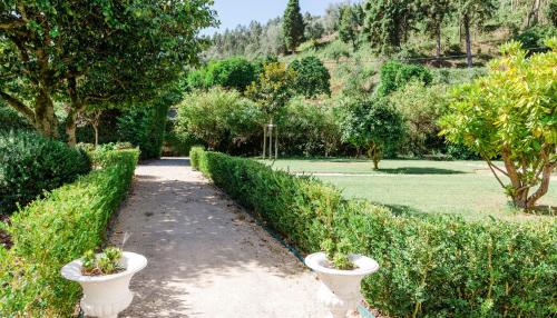 un chemin dans un jardin avec deux vases blancs dans l'établissement Torres da Vila, à Anadia