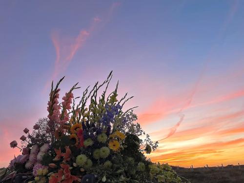 a bouquet of flowers sitting in front of a sunset at Tiny House Noordwijk aan Zee in Noordwijk