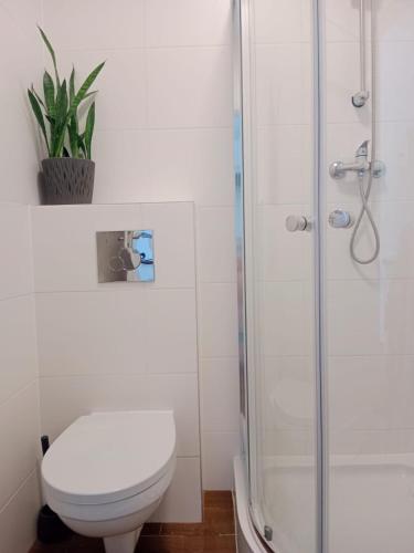 a bathroom with a toilet and a shower at Mieszkanie na Wygodzie M2-parking free in Białystok