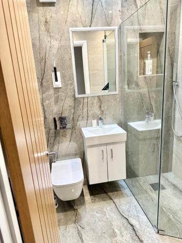 a bathroom with a toilet and a sink and a shower at Little Vine - Beautiful Ground floor flat in South London in Sutton
